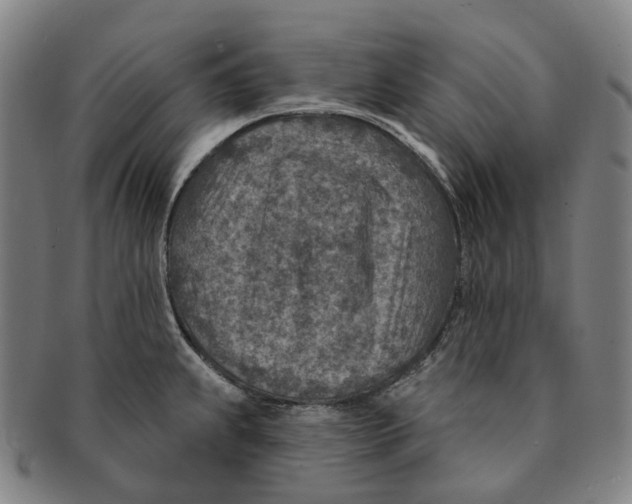 X0000091001239200708301327