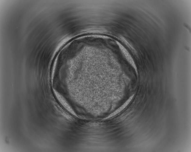 X0000091001240200708301327