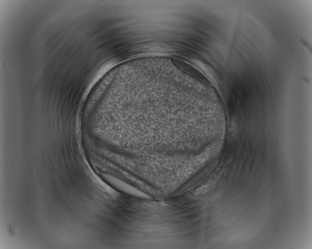 X0000091001243200708301327