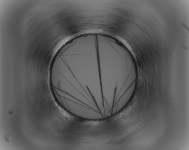 X0000091001245200708301327