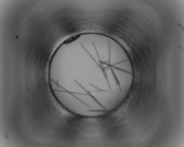 X0000091001246200708301327