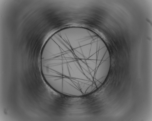 X0000091001247200708301327