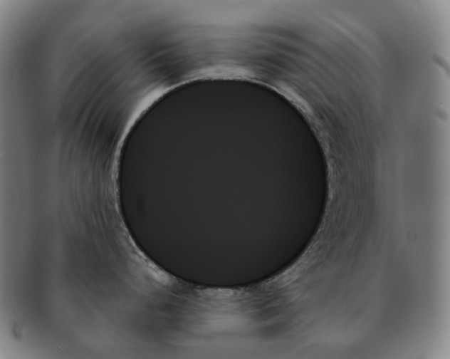 X0000091001248200708301327