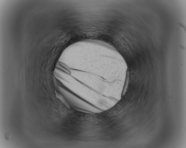 X0000091001249200708301327