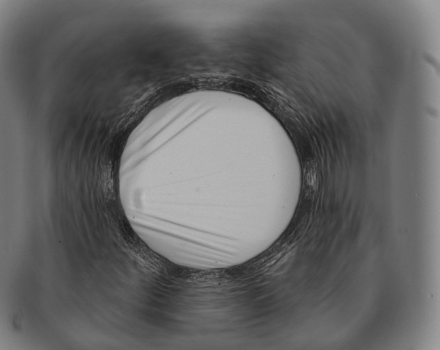 X0000091001252200708301327