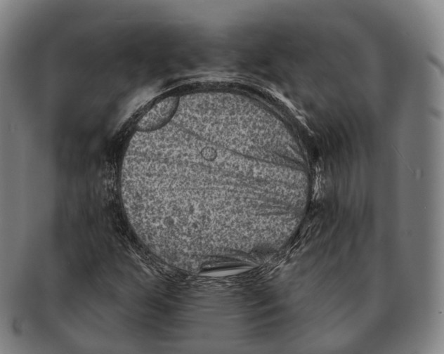 X0000091001255200708301327
