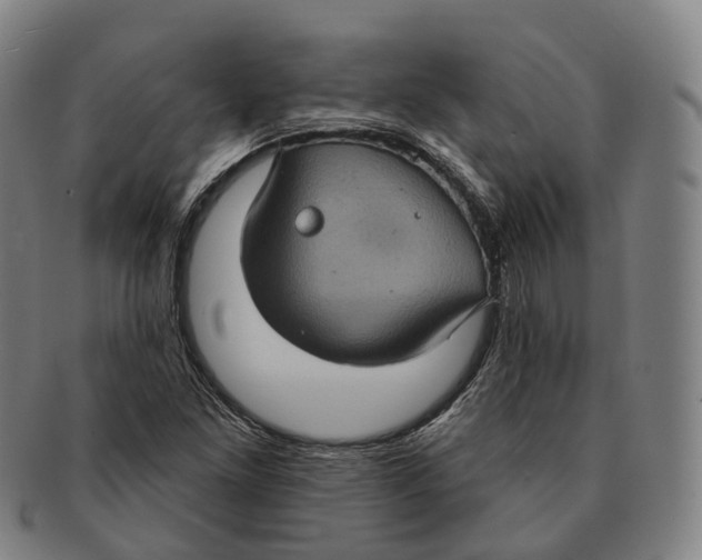 X0000091001261200708301327