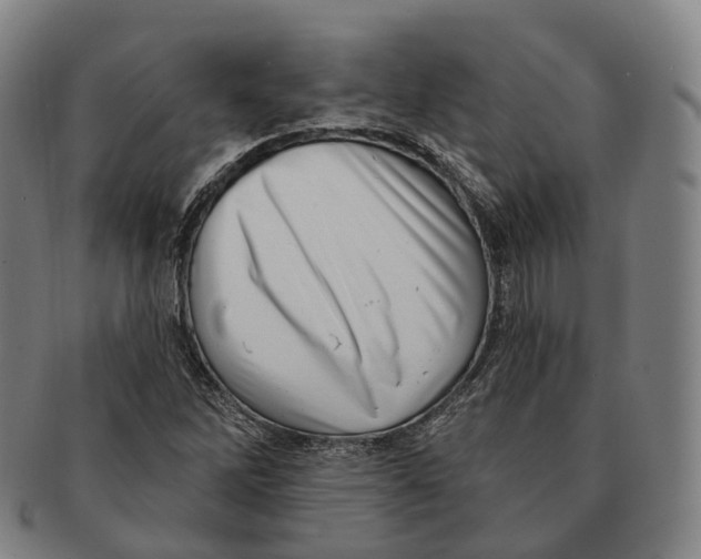 X0000091001262200708301327