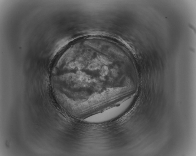 X0000091001263200708301327