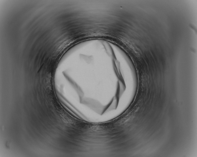 X0000091001265200708301327