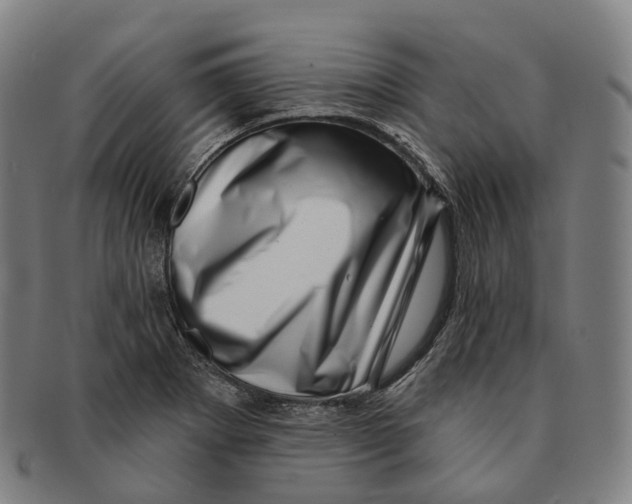 X0000091001273200708301326