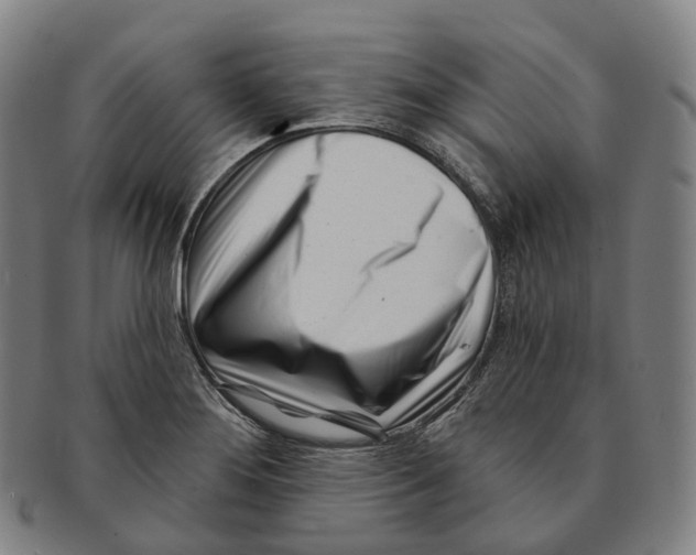 X0000091001276200708301326