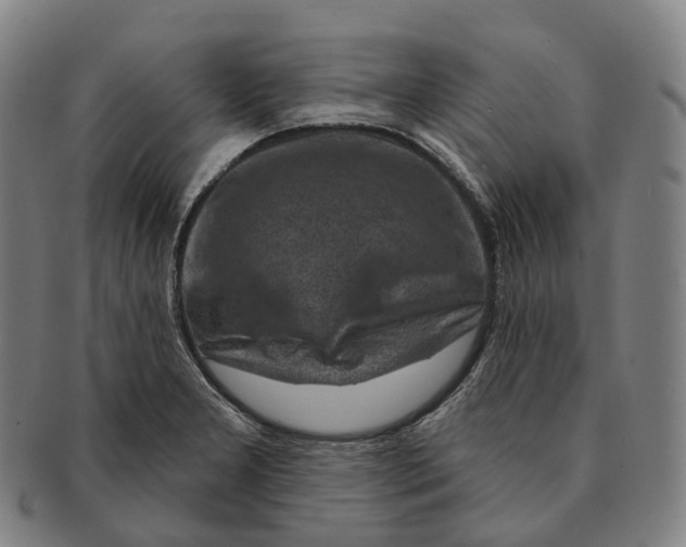 X0000091001277200708301326