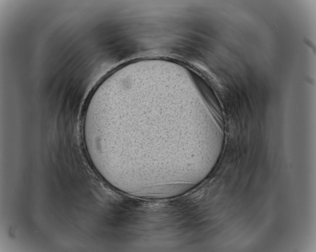 X0000091001278200708301326