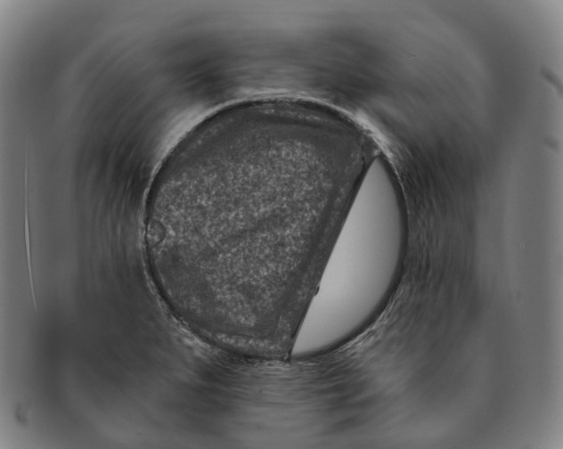 X0000091001279200708301326