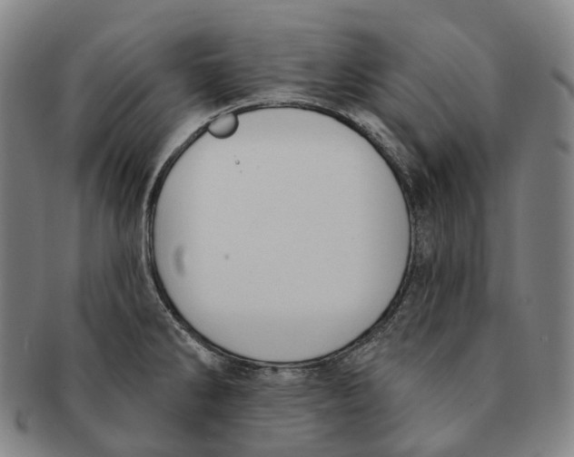 X0000091001286200708301326