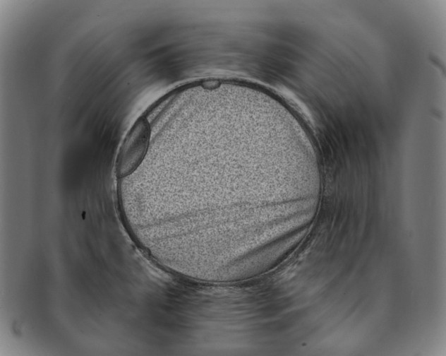 X0000091001287200708301326