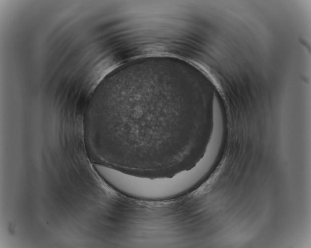 X0000091001289200708301326