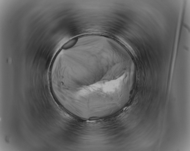 X0000091001291200708301326