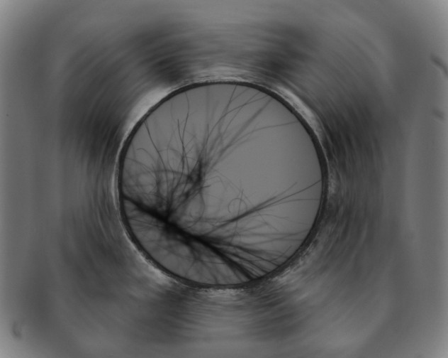 X0000091001293200708301326