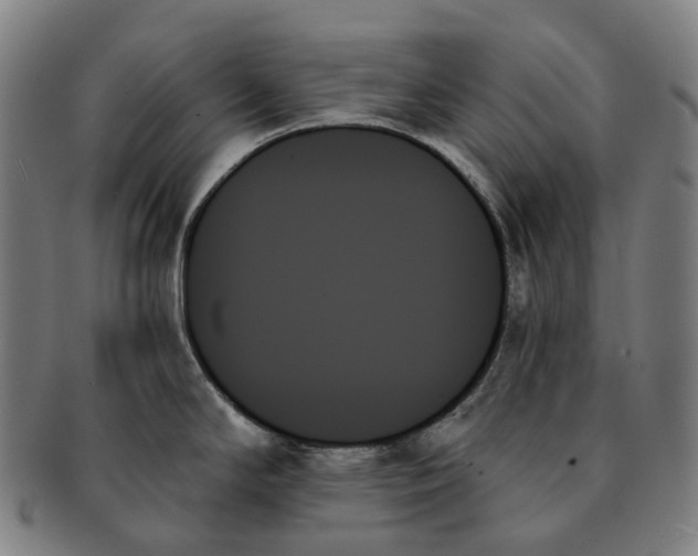X0000091001294200708301326