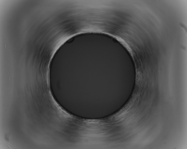 X0000091001295200708301326