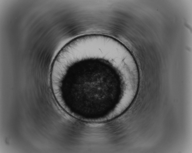 X0000091001296200708301326