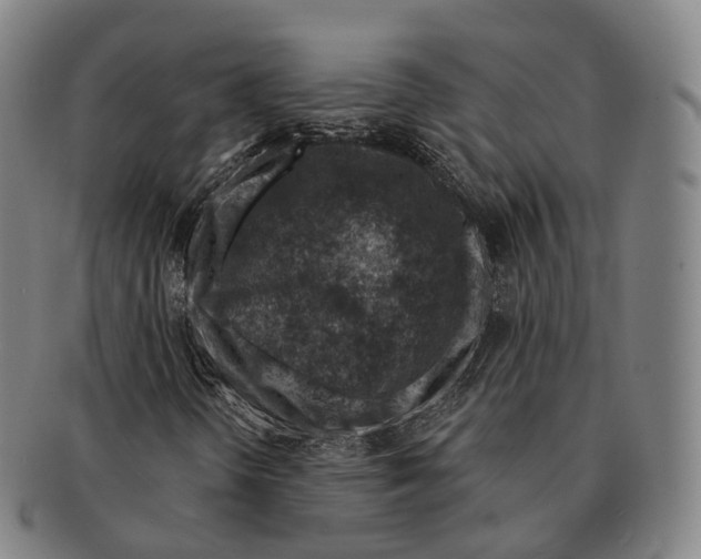 X0000091001298200708301325