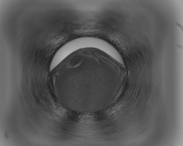 X0000091001300200708301325