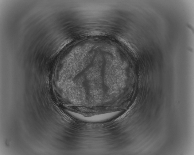 X0000091001305200708301325