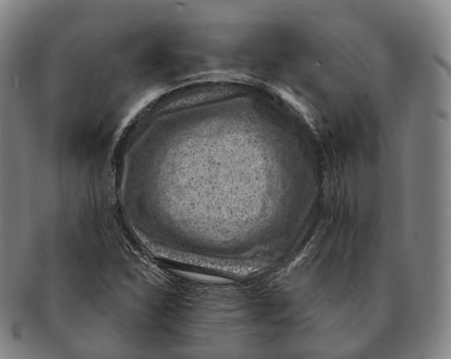 X0000091001310200708301326