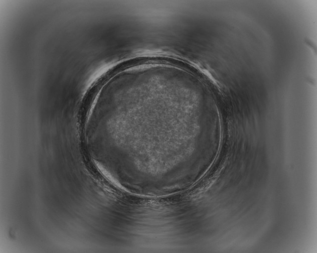 X0000091001311200708301326