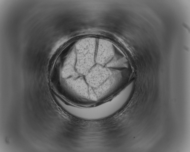 X0000091001312200708301326