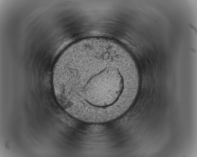 X0000091001314200708301326