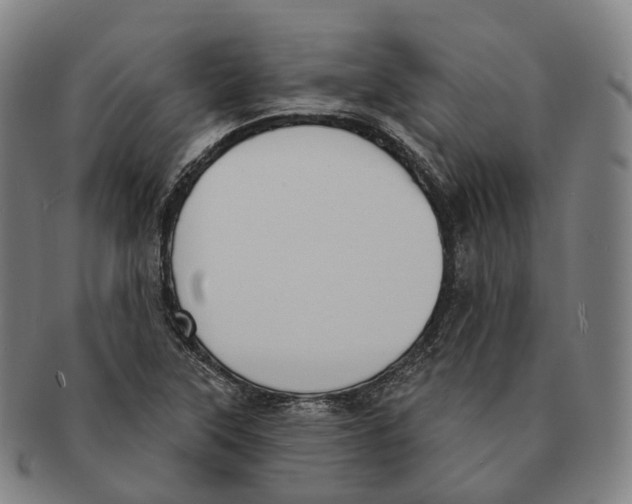 X0000091001315200708301326