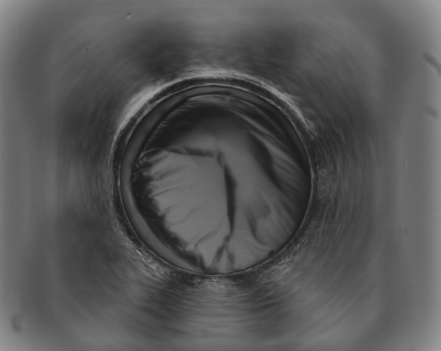 X0000091001319200708301326