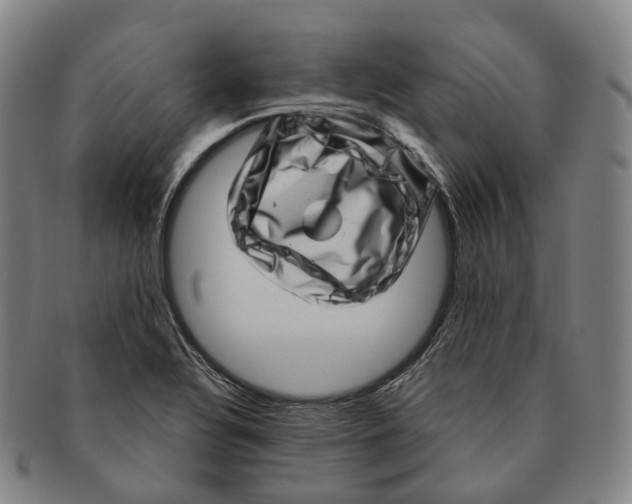 X0000091001320200708301326