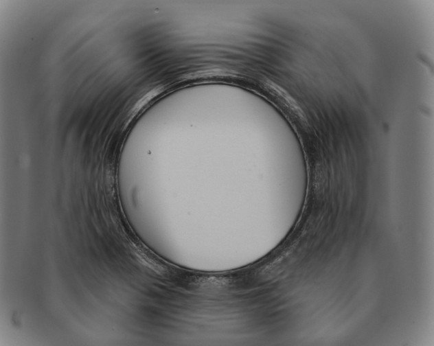 X0000091001321200708301326