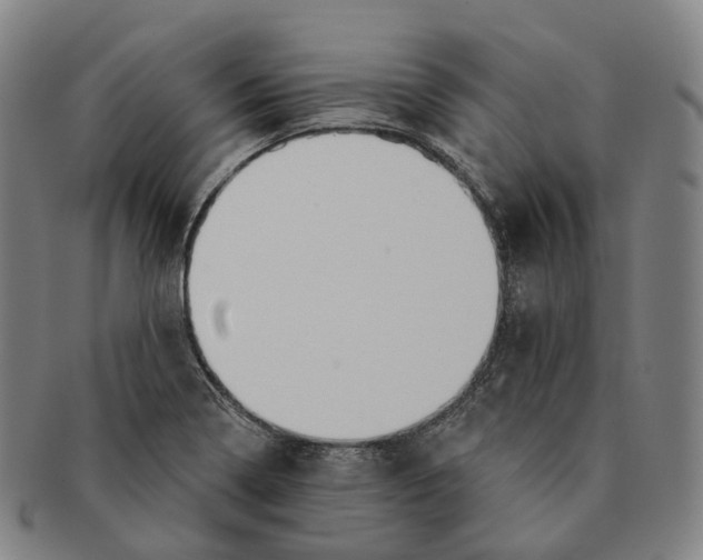 X0000091001322200708301326