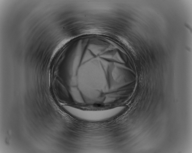 X0000091001323200708301326