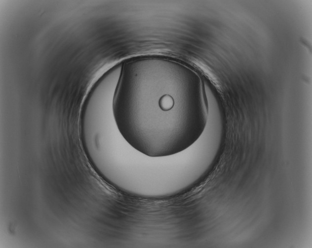 X0000091001324200708301326