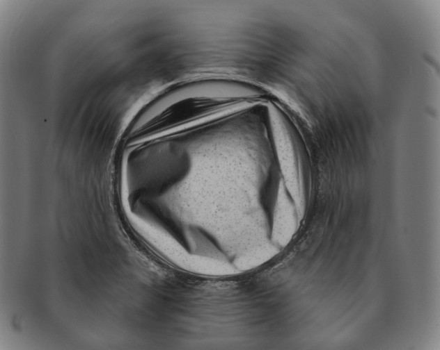 X0000091001325200708301326