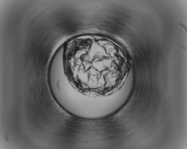 X0000091001326200708301326