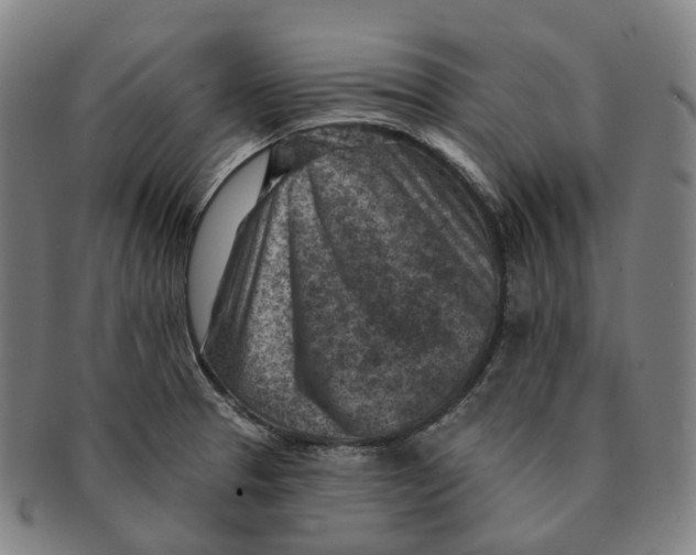 X0000091001329200708301326