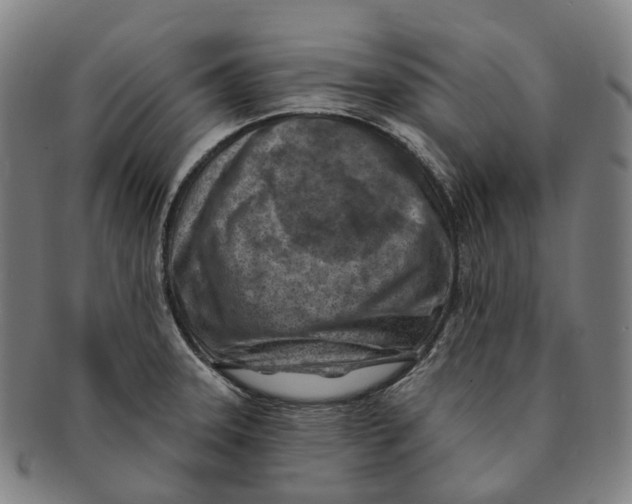 X0000091001331200708301326