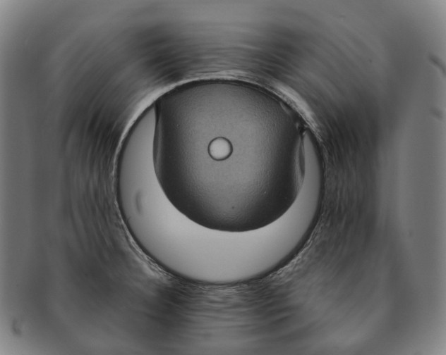 X0000091001332200708301326