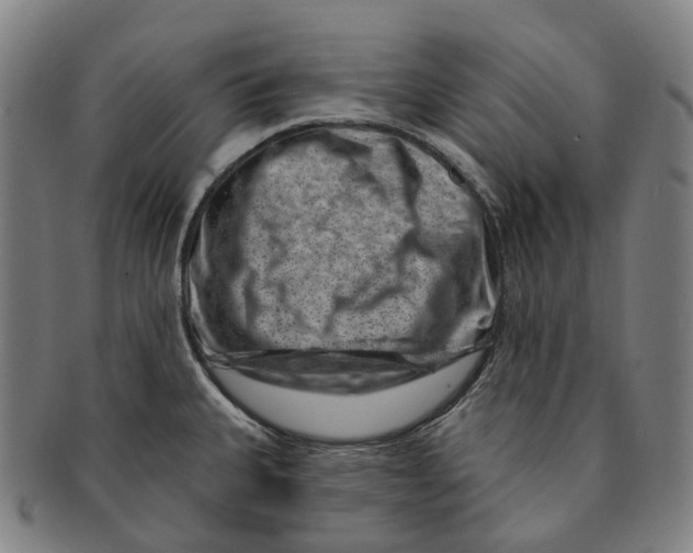 X0000091001335200708301326