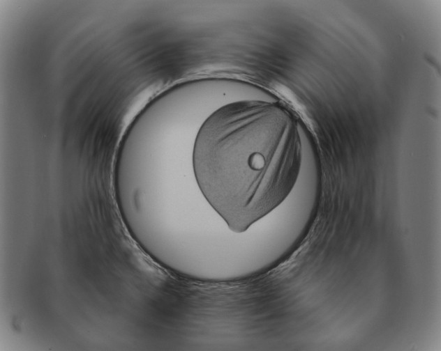 X0000091001336200708301326