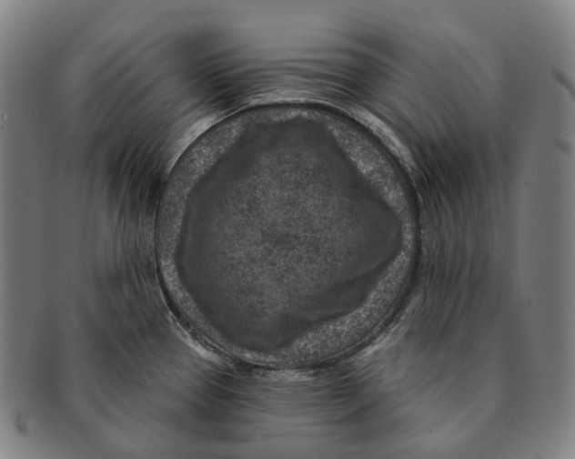 X0000091001337200708301326