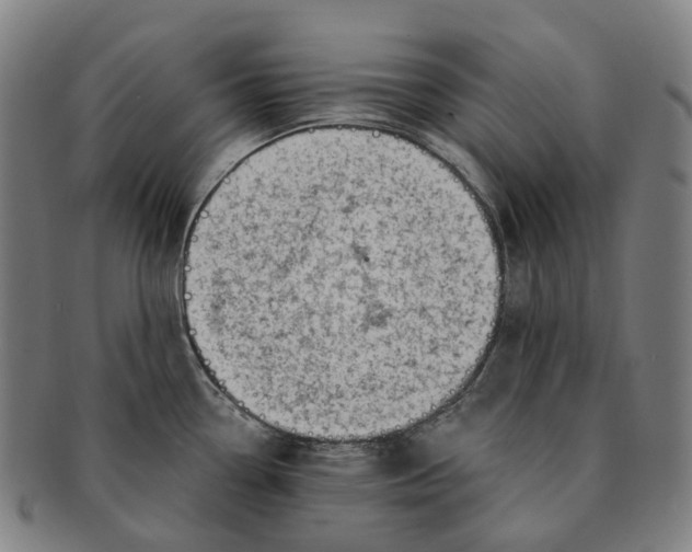 X0000091001338200708301326